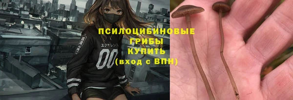 экстази Богородицк